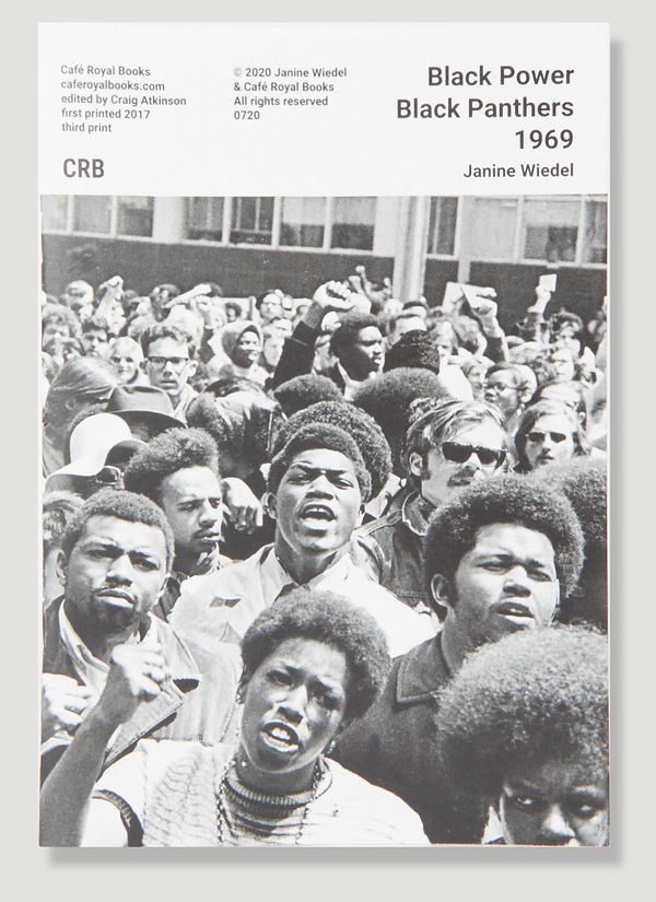 Black Power Black Panthers 1969 by Janine Wiedel